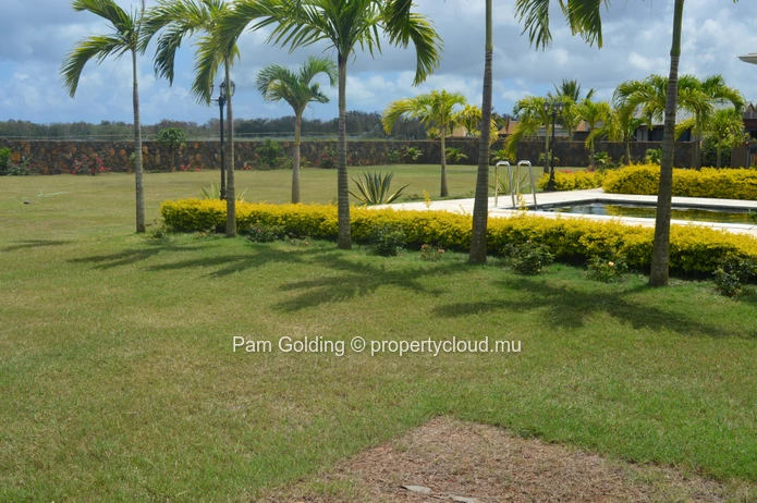 Wonderful property
