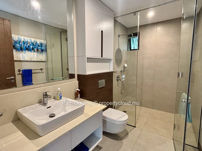 Appartement 3 chambres en rez-de-jardin à Pointe aux Canonniers, 196,69 m²