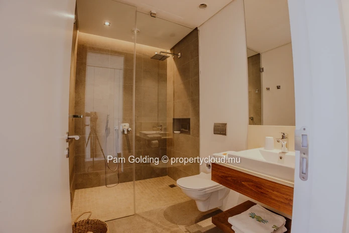 Luxurious 3-Bedroom Beachfront Villa with Private Pool in Les Salines Black River