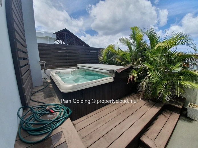 Penthouse Luxueux de 3 Chambres avec Jacuzzi | Choisy les Bains