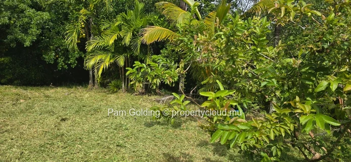 Piton – Terrain à vendre – Pam Golding Mauritius