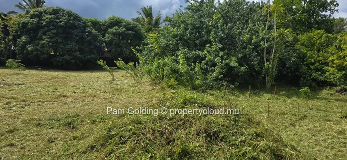 Piton – Terrain à vendre – Pam Golding Mauritius