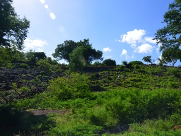 Terrain Résidentiel