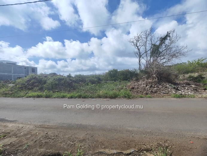 Petit Raffray – Terrain à vendre – Pam Golding Mauritius