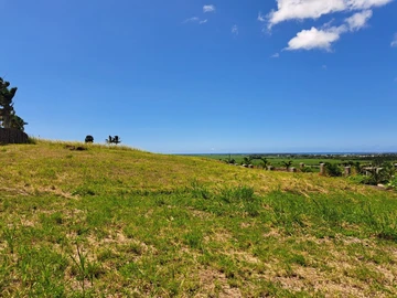 Terrain Résidentiel