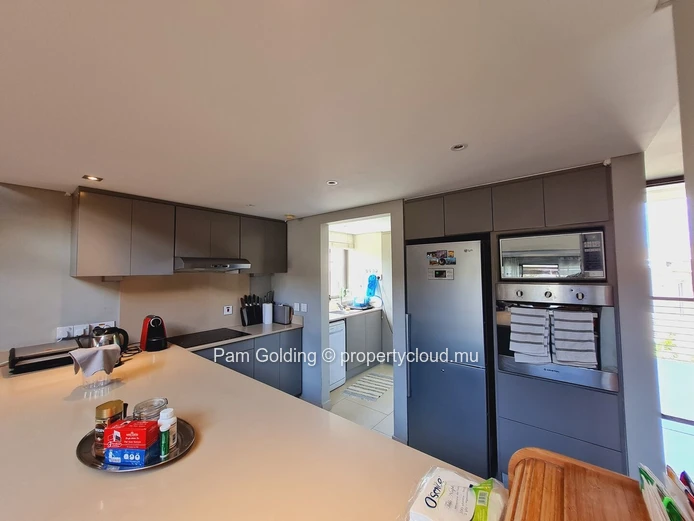 Penthouse PDS à vendre à Bain Boeuf, 230m², 3 chambres, piscine privée, meublé, animaux acceptés. Prix Rs.