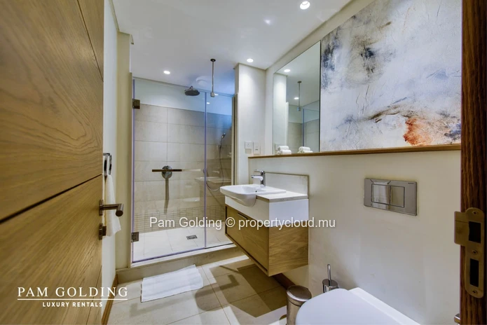 Spacieux appartement à Mont Choisy Golf
