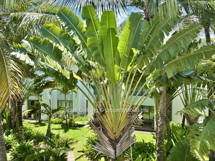 3-Bedroom Duplex for Sale in Pereybere, Mauritius | Beachfront Living at La Residence