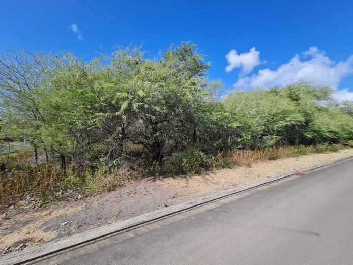 Exceptional Corner Plot in a Peaceful Gated Community – 2,210 m² of Natural Beauty and Potential
