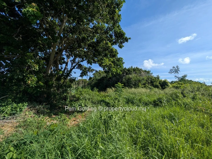 Calodyne – Terrain à vendre – Pam Golding Mauritius (Mandat exclusif)