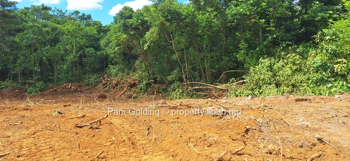 Terrain Résidentiel Compact à Vendre à Plaine de L’Hermitage – Idéal pour un Mode de Vie Moderne