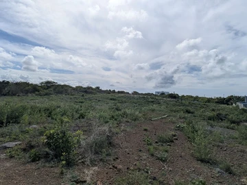Terrain Résidentiel