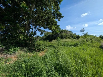 Terrain Résidentiel