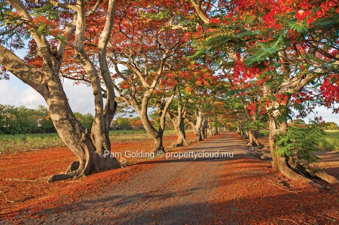 2-Bedroom Apartment with Private Garden & Pool in Mont Choisy – 5-Min Walk to the Beach (Sole Mandate)