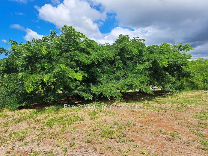 À vendre – Terrain d’exception à Hillside 2