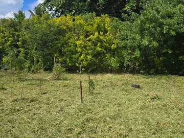 Terrain Résidentiel