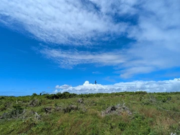 Terrain Résidentiel