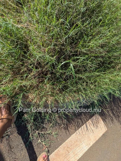 Balaclava – Terrain à vendre – Pam Golding Mauritius