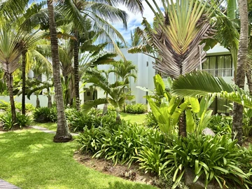 3 Bedroom Townhouse, Duplex