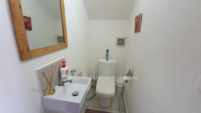 Recent corner plot duplex