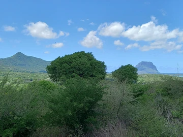 Terrain Résidentiel