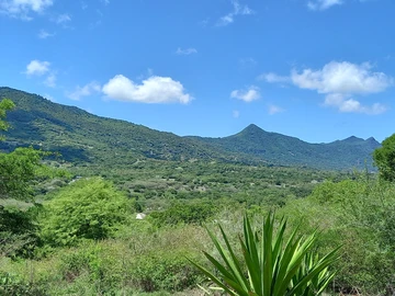 Terrain Résidentiel