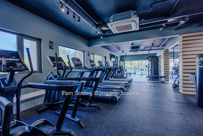 Luxurious Penthouse for Sale in La Pointe, Pointe Aux Cannoniers | Beach Access | Sea Views