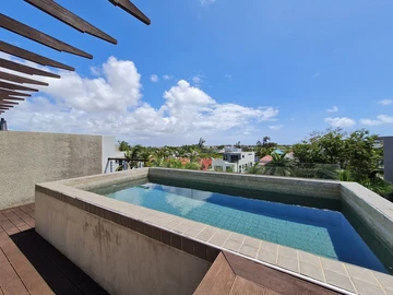 3 Bedroom Penthouse