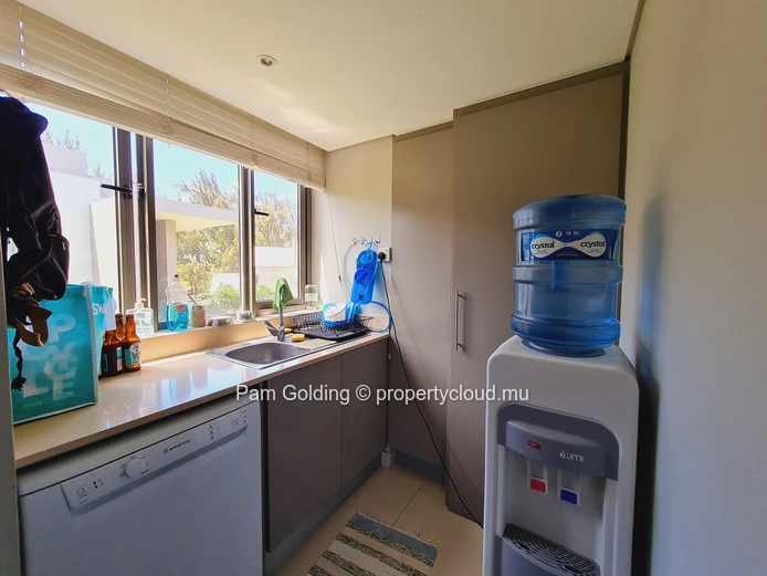 Penthouse PDS à vendre à Bain Boeuf, 230m², 3 chambres, piscine privée, meublé, animaux acceptés. Prix Rs.